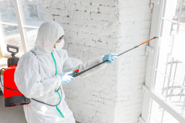 Environmental Consulting for Mold Prevention in Regency At Monroe, NJ